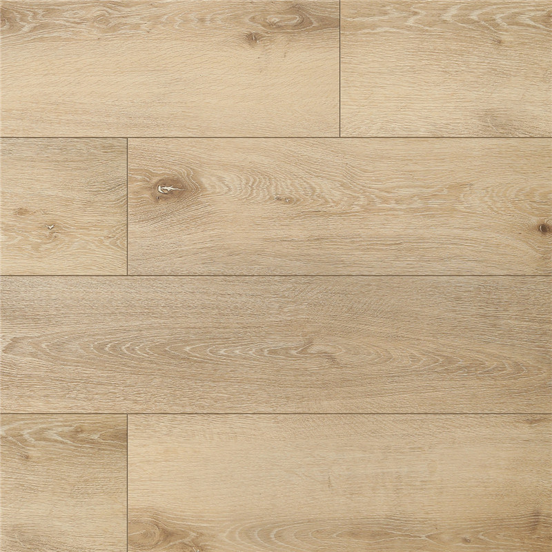 乙烯基地毯海绵PVC地板PVC乙烯基地板奖